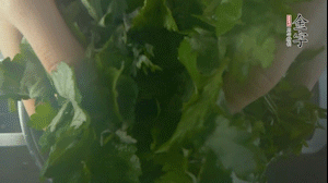 【面皮】1.鍋中水開時，放挑揀好的艾草和一撮小蘇打，第一遍煮開后倒掉，重新加水大火煮開后，小火煮1小時。煮爛的艾草用紗布瀝干。